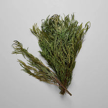 Load image into Gallery viewer, Preserved Seeded Feathered Willow - Live Beautiful Home
