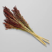 Load image into Gallery viewer, Dried Red Broom Corn - Live Beautiful Home
