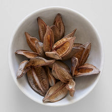 Load image into Gallery viewer, Natural Sora Pods - Live Beautiful Home
